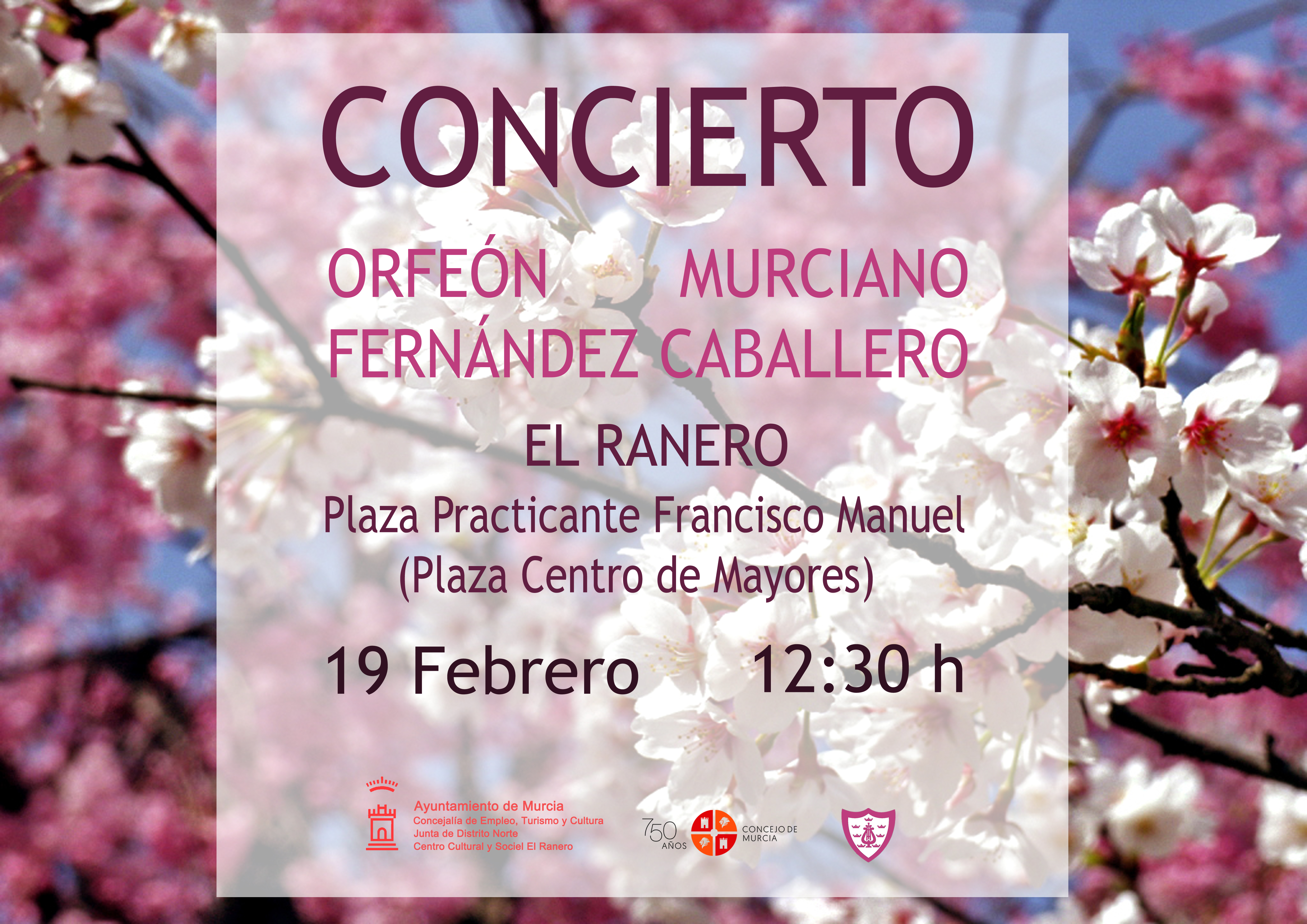 CONCIERTO 19 MARZO EL RANERO 1